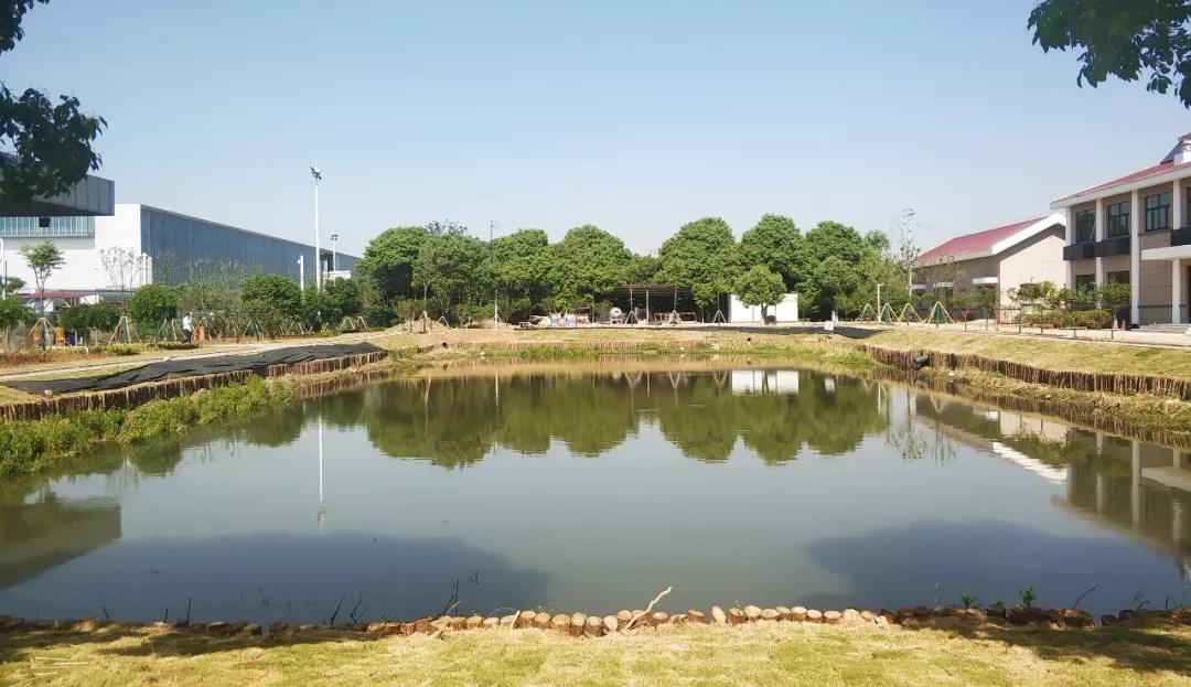 1559180386481049138.jpg 微信图片_20190530093720.jpg