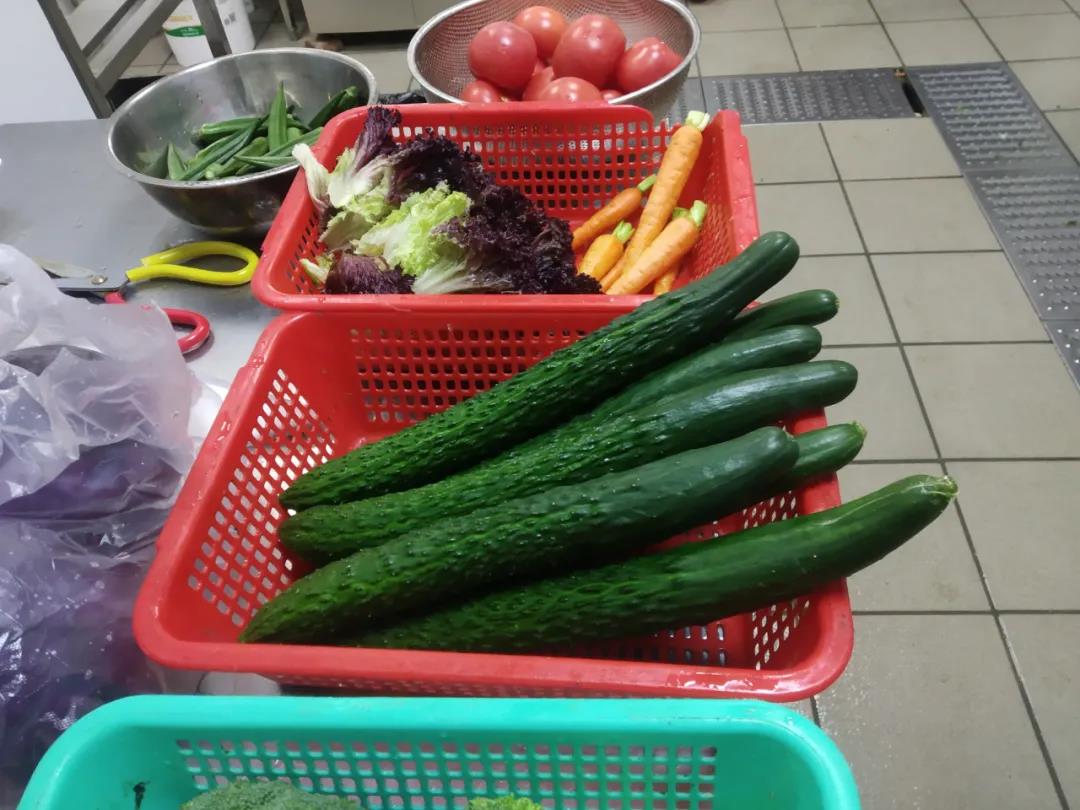 1615969743525072466.jpg 1615969743525072466.jpg