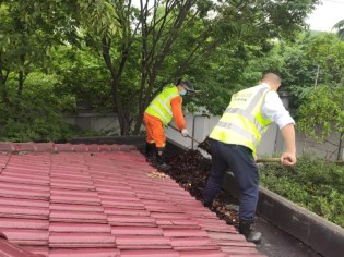 1622276303943095169.jpg 9.jpg