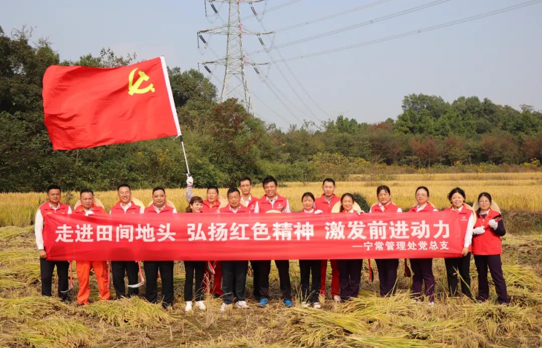 1635491340109050622.jpg 1635491340109050622.jpg