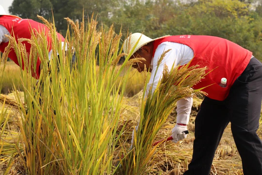 1637738297351096174.jpg 1637738297351096174.jpg